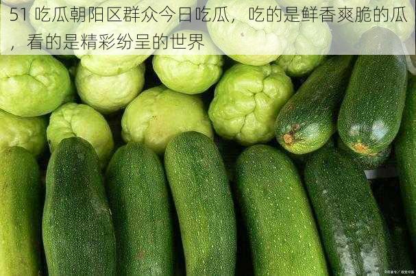 51 吃瓜朝阳区群众今日吃瓜,吃的是鲜香爽脆的瓜,看的是精彩纷呈的世界
