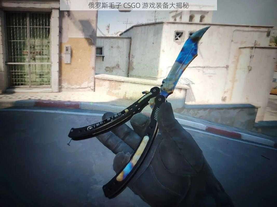俄罗斯毛子 CSGO 游戏装备大揭秘