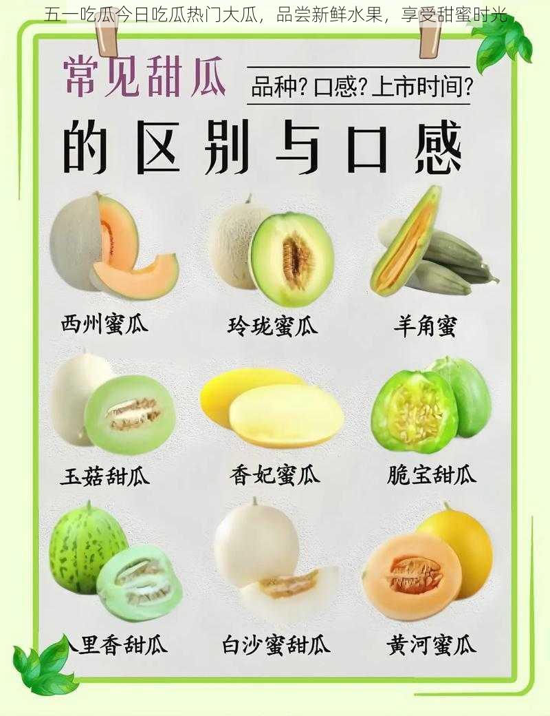 五一吃瓜今日吃瓜热门大瓜,品尝新鲜水果,享受甜蜜时光
