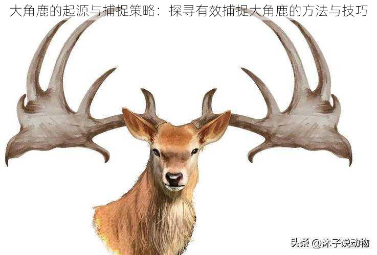 大角鹿的起源与捕捉策略:探寻有效捕捉大角鹿的方法与技巧
