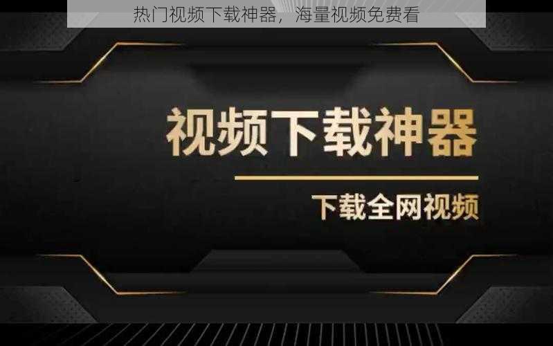 热门视频下载神器,海量视频免费看