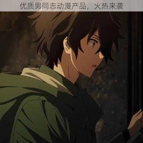 优质男同志动漫产品,火热来袭