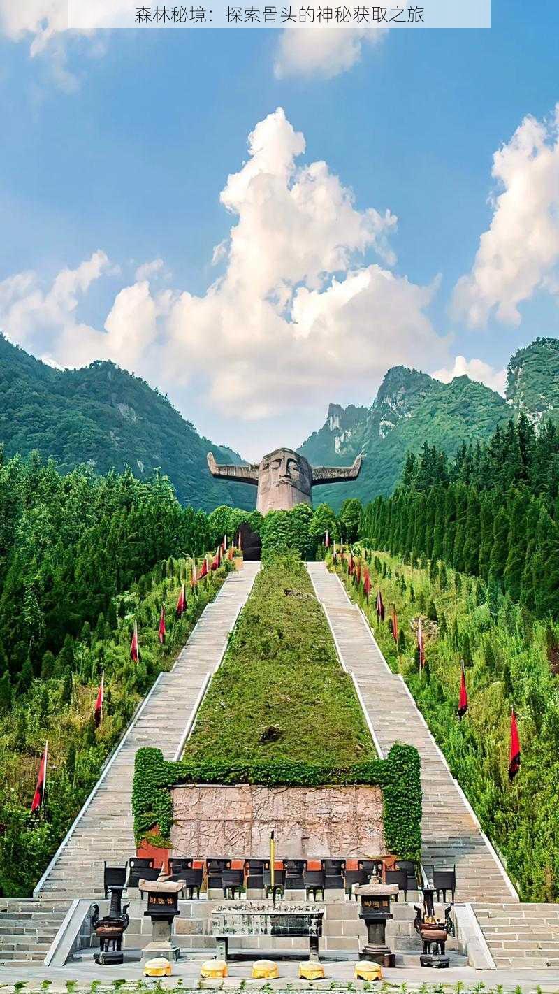 森林秘境:探索骨头的神秘获取之旅
