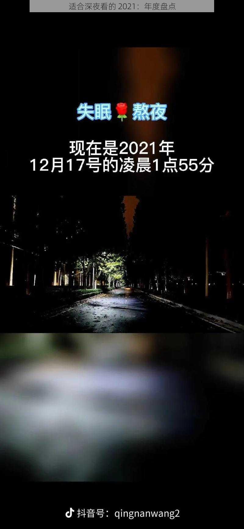 适合深夜看的 2021:年度盘点