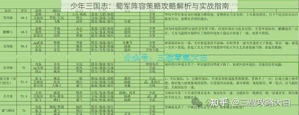 少年三国志:蜀军阵容策略攻略解析与实战指南