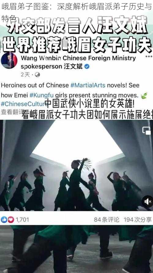 峨眉弟子图鉴:深度解析峨眉派弟子历史与特色
