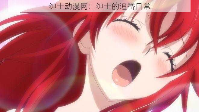 绅士动漫网:绅士的追番日常