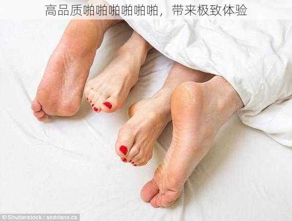 高品质啪啪啪啪啪啪,带来极致体验