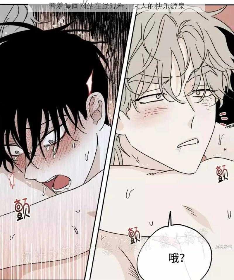 羞羞漫画网站在线观看:大人的快乐源泉