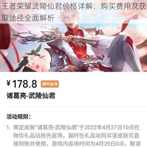 王者荣耀武陵仙君价格详解:购买费用及获取途径全面解析