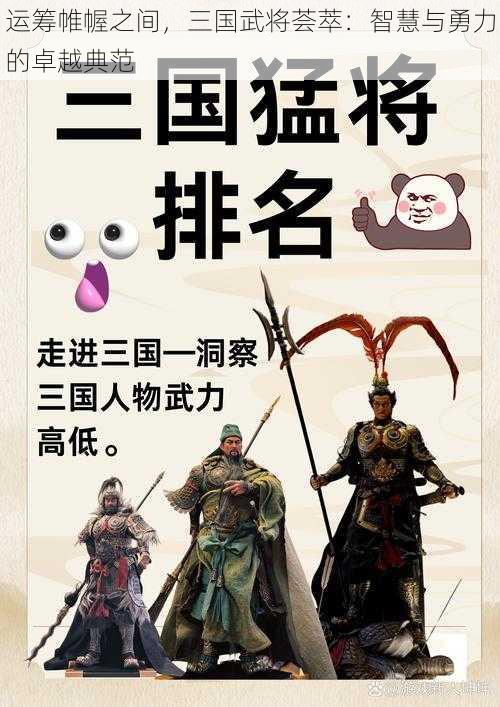 运筹帷幄之间,三国武将荟萃:智慧与勇力的卓越典范